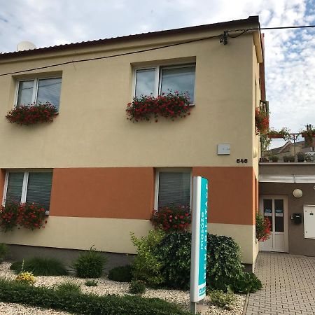 Apartment Corriger Usti nad Orlici Exterior photo